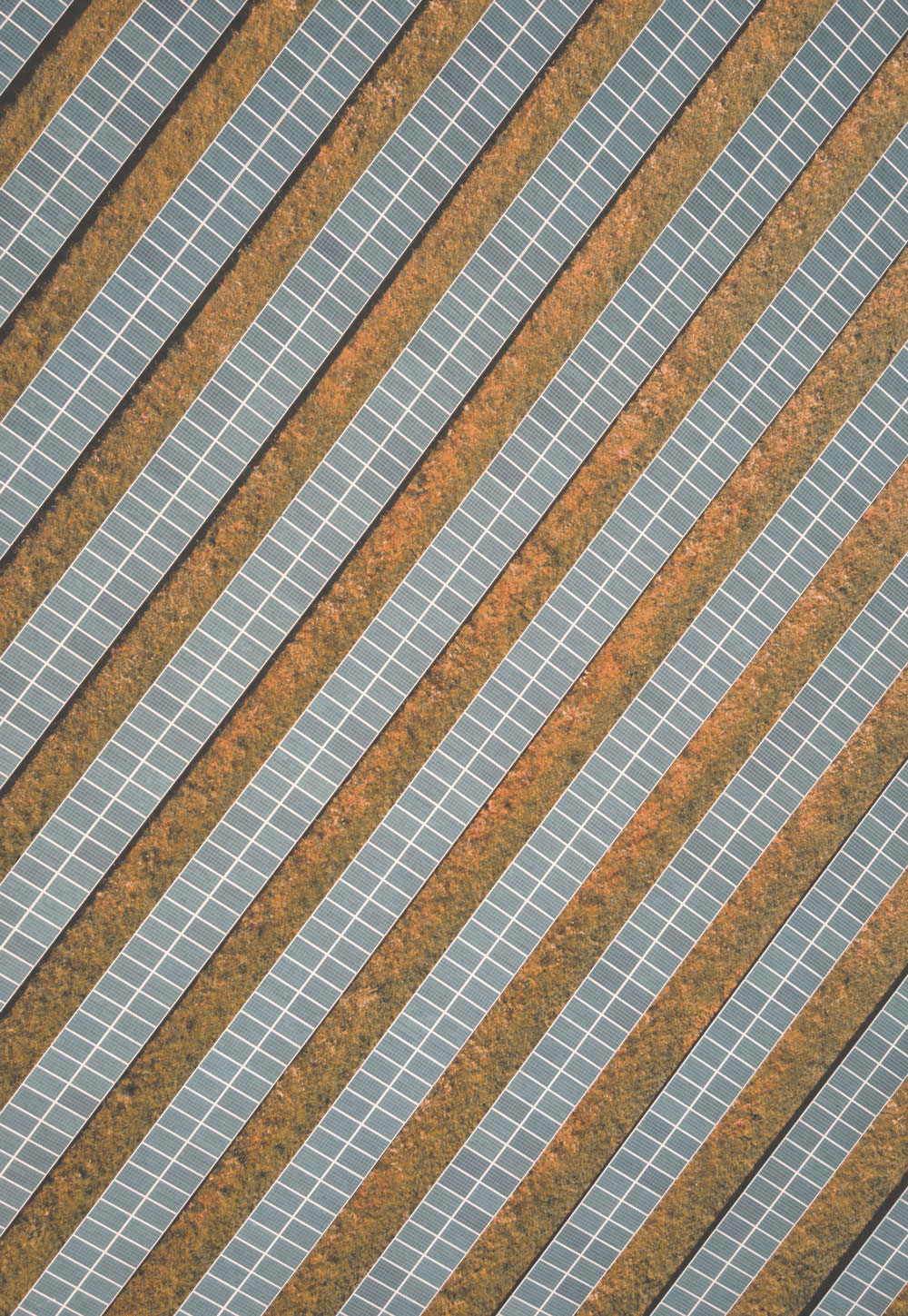 energía solar con Electric21